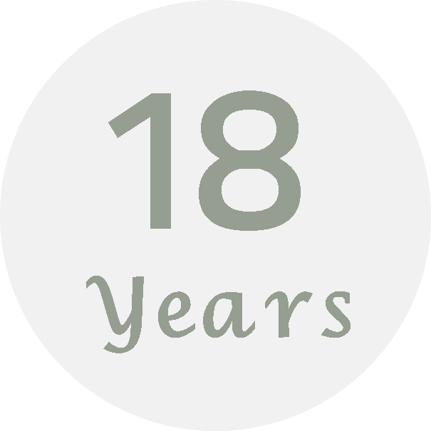 18 سال چرم دستدوز